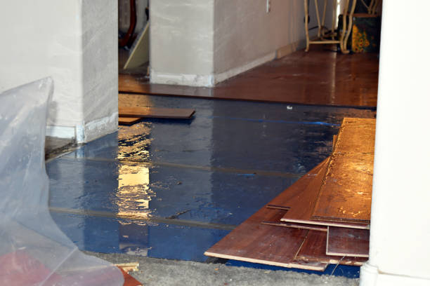 Professional Basement Flood Cleanup technician working in Dayton, IA